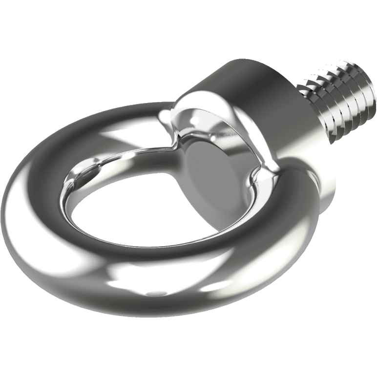 Ringschraube DIN 580 WS 9580 Edelstahl